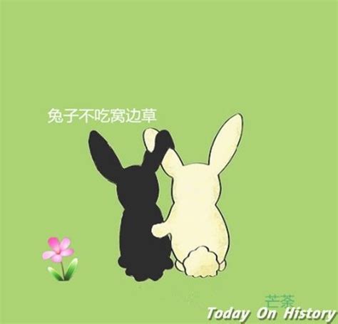 兔子为什么不吃窝边草_腾讯视频
