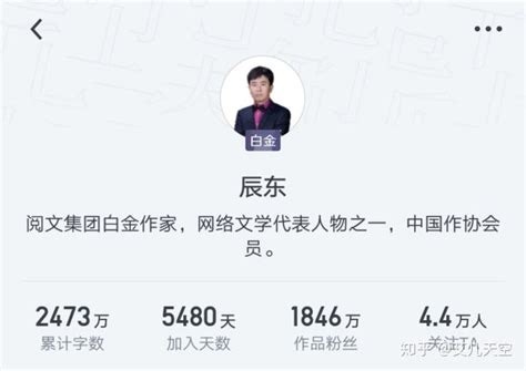 2019，网文征战五环外, 站长资讯平台