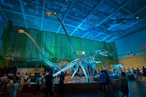 自贡恐龙博物馆-2018南京博物馆