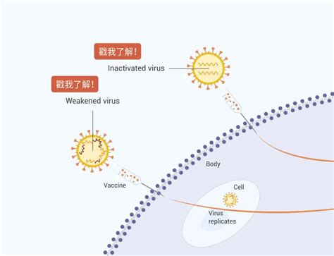 勒索病毒全球爆发：深圳网警发布防范策略-新闻100