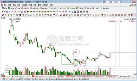 上海电力 上海电力股份有限公司 上海市投资机构 - 风潮数据