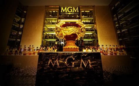 北京美高美MGM club F lounge开幕在即_新浪家居