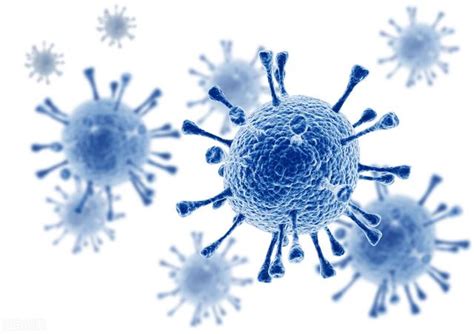 新型冠状病毒传染来源是什么 关于新型冠状病毒的几大谣言 _八宝网