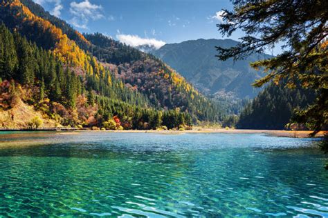 航拍中国新疆喀纳斯绿色干净的湖水和森林自然风光视频素材_ID:VCG2216685831-VCG.COM