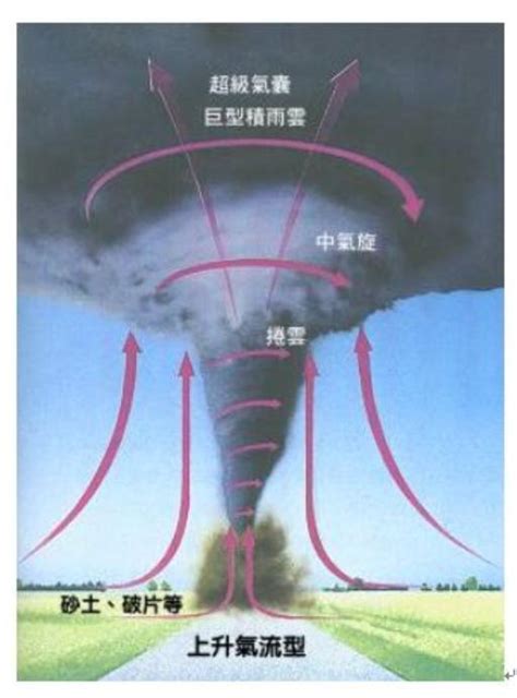 真有“9级”龙卷风？上海会发生吗？专家解释来了！|武汉市|上海市_新浪新闻