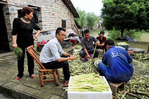 江西乐安：发展设施蔬菜 丰富群众“菜篮子”-新华网