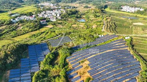 江西泰和：低产红壤坡地变身高产绿色果园-人民图片网
