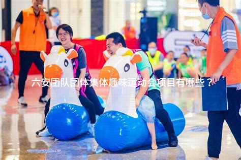 展硕果 谋新篇——上海—六安共青团对口合作半年推进会顺利召开_安青网