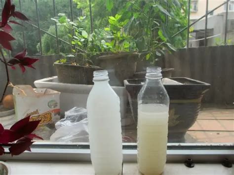 怎样自制磷钾肥，盘点5种家庭自制磷钾肥的方法-美丽花