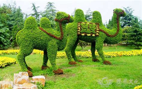 植物景观雕塑厂家-绿雕公司-草雕设计-光雕亮化植物景观-自贡市腾飞文化艺术有限公司