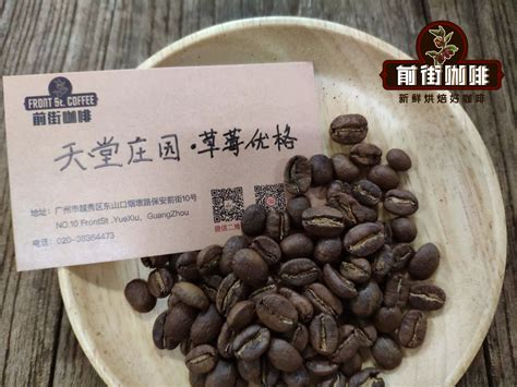 咖啡豆 苏门答腊曼特宁咖啡豆 曼特宁咖啡产地 亚洲咖啡豆 中国咖啡网 05月29日更新