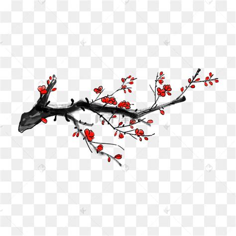 白枝图片