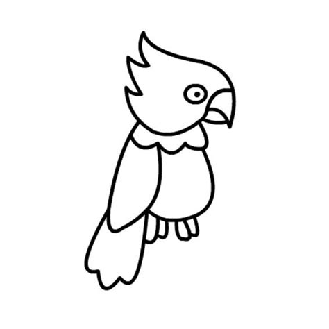 简单的鹦鹉如何画 幼儿简笔画 - 育才简笔画