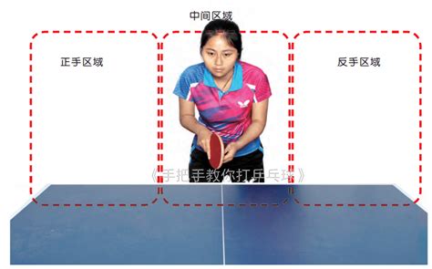 图解不同打法的基本站位+腿部力量锻炼方法！_专家谈乒_乒乓技术_天天乒乓网