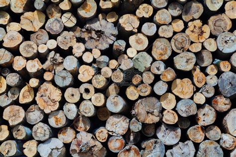 木材厂木材高清图片下载-正版图片500115771-摄图网