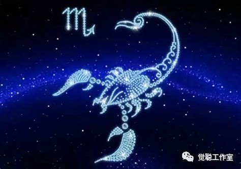 天蝎座尾巴出生的特点，天蝎座几区最像天蝎 - 星座迷