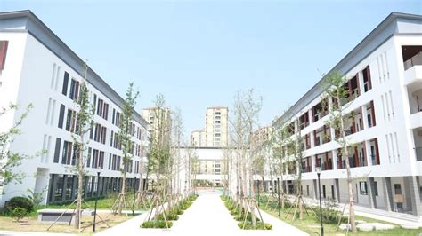 上海师范大学附属嘉善实验学校 坐落于嘉善产业新城核心区域-嘉兴搜狐焦点
