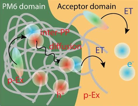 带分支基团的高分子链端形成的网状结构-镇江图研科技有限公司