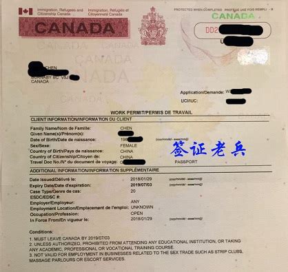 留学生毕业工作后，配偶可续签加拿大开放工签吗 | 签证老兵