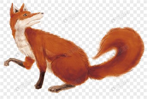 心理学上的十八只狐狸，你是哪一只？|心理_新浪新闻
