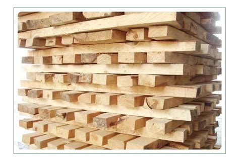 【科普日常】木材的基本构造与成分-木材码头