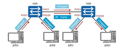 一图读懂 VLAN接口类型介绍 - TP-LINK商用网络
