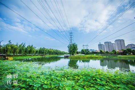 许昌已建成4个跨境电商综合园区！未来……(许昌跨境电商产业园)-羽毛出海