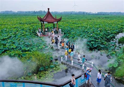 江苏金湖：周末景区热起来-人民图片网
