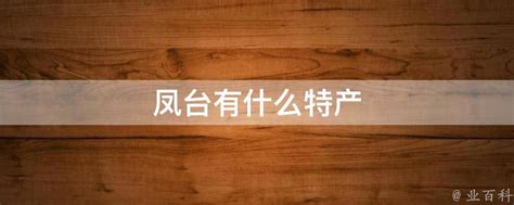 凤台县四大班子和安建总承包负责同志出席县“扩投资、迎新年”重点项目集中开工仪式