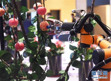机器人养老很好，但是中国的老年人已经等不及了_智能_环球网