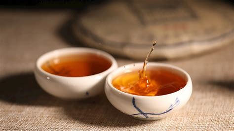 普洱茶学 - 庆承号 - 真古树 - 极致用心做好茶！