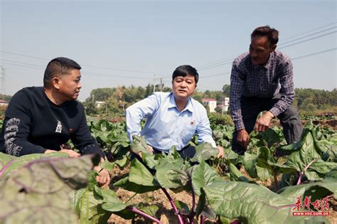 湘潭响水乡：以优化营商环境 推动乡村振兴华声社区频道_华声在线