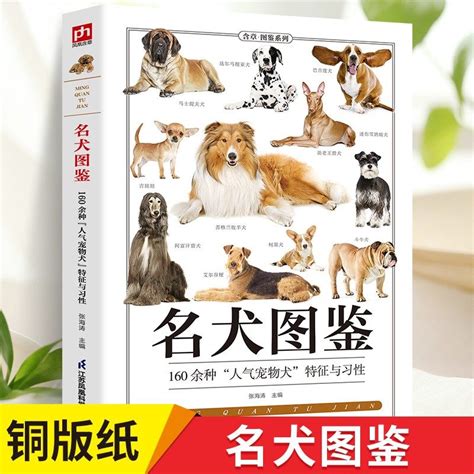 《名犬：全世界300多种名犬的彩色图鉴》扫描版PDF高清版 - 书舟搜索书舟搜索（kindle吧） - 免费的书舟搜索