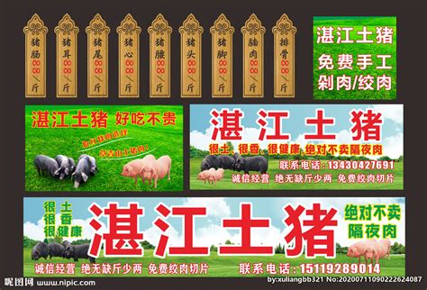 新鲜猪肉宣传单模板素材-正版图片400354596-摄图网