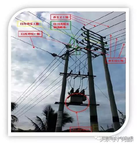电力企业典型事故案例11.拆除备用线工作造成触电事故_腾讯视频