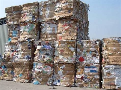 传统的废纸回收与废纸资源化利用的发展介绍_泊祎回收网