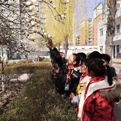 平山县特殊教育学校举行“走进春天、拥抱自然”融合活动