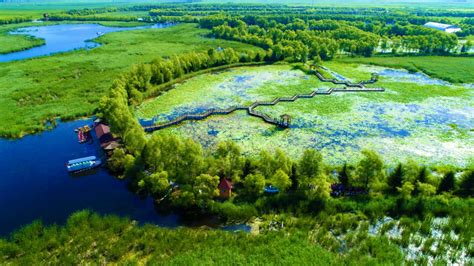 黑龙江湿地日：556万公顷湿地构筑独特“生态王国”凤凰网黑龙江_凤凰网