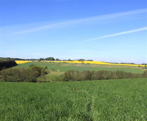 pinse，贫僧与她免费阅读