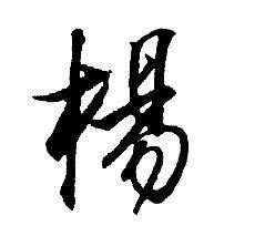 杨字微信头像图片