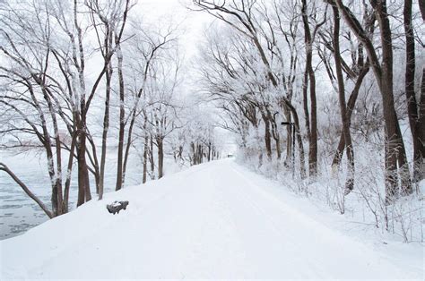 一个路人在大雪中穿过白雪皑皑的城市院子高清摄影大图-千库网
