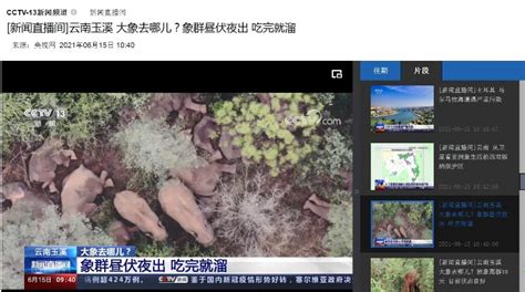 大象新闻河南卫视直播app下载_大象新闻官方下载_核弹头软件