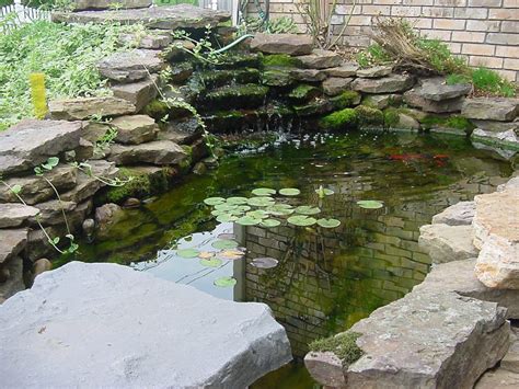 高层室内鱼池景观设计注意事项 - 深圳市绿雅坊景观园艺有限公司