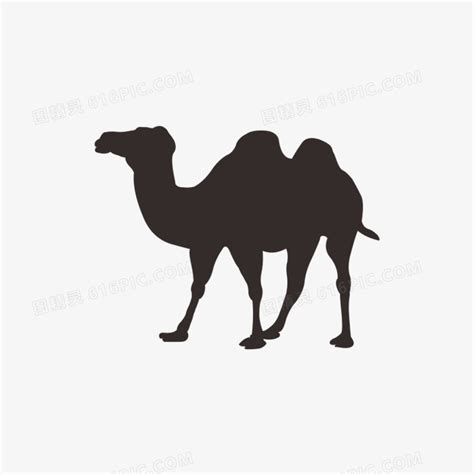 骆驼户外海报设计图__广告设计_广告设计_设计图库_昵图网nipic.com