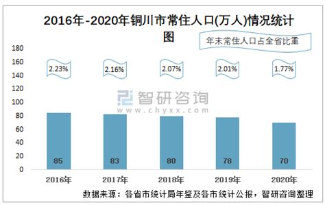 (铜川市)宜君县2020年国民经济和社会发展统计公报-红黑统计公报库