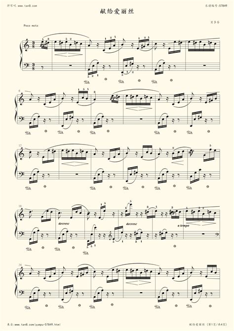 贝多芬的风靡世界的钢琴曲《致爱丽丝》（For Alice ） - 金玉米 | 专注热门资讯视频