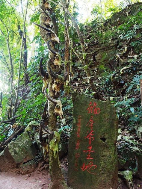 【一线看项目】清水县牛头河山门镇大集村至红堡镇吴湾村段堤防治理工程建设正“酣”--天水在线