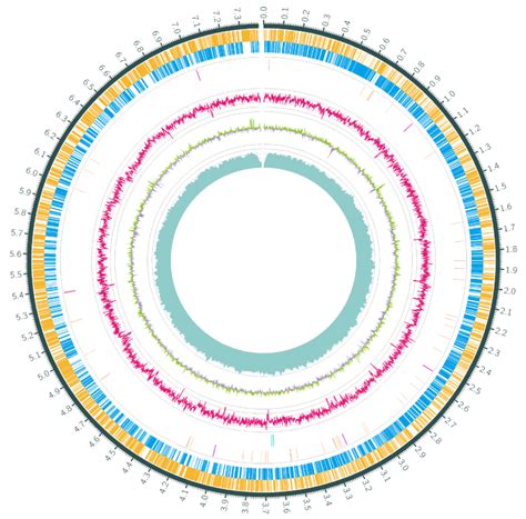 中外学者合作完成燕麦基因组草图绘制、解析燕麦素的生物合成基因簇 - 生物通