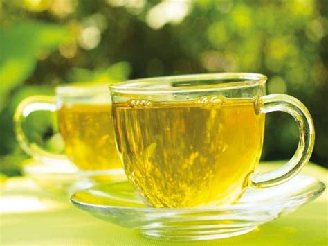 绿茶什么时候喝最好【绿茶适合什么季节喝】-润元昌普洱茶网