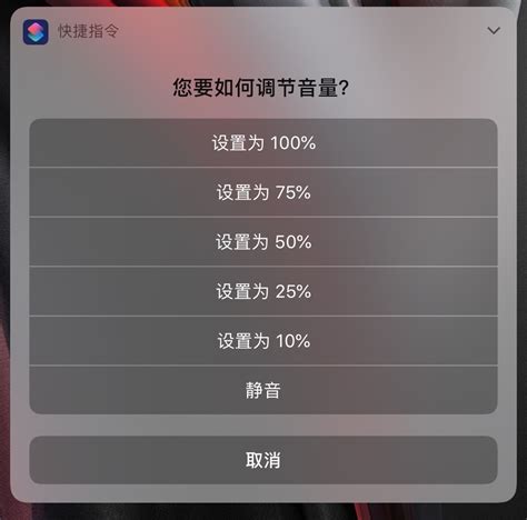 iPhone 常用音量大小一键调节，安排！_哎咆科技 - 果粉查询